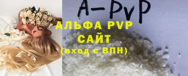 прущий лед Ладушкин